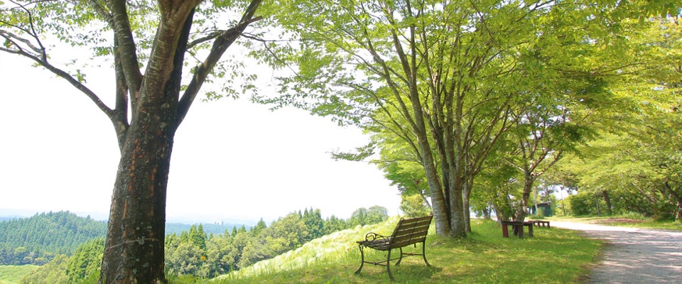 蔵迫温泉さくらオートキャンプ場